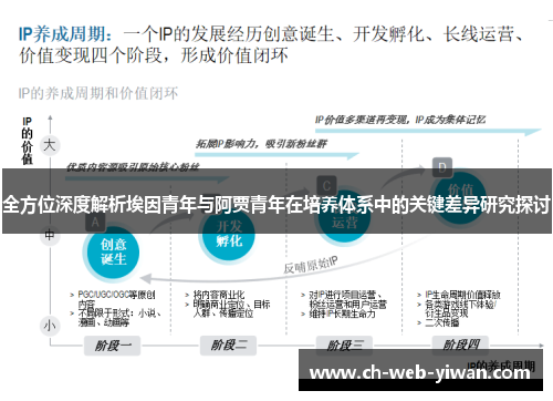 全方位深度解析埃因青年与阿贾青年在培养体系中的关键差异研究探讨