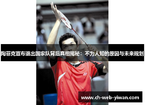 陶菲克宣布退出国家队背后真相揭秘：不为人知的原因与未来规划